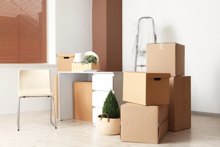 Move Out Cleaning Services